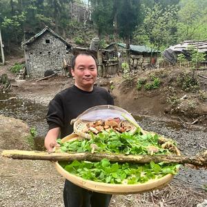 大山深处的星哥 头像