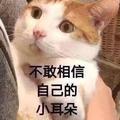 创更 头像