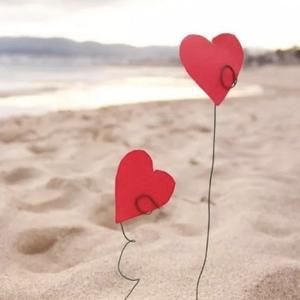 菠萝爱说话 头像