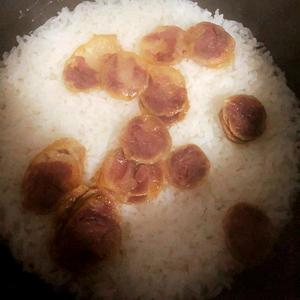 月下轻盈起舞的音符 头像