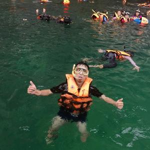 旅人泰勒 头像