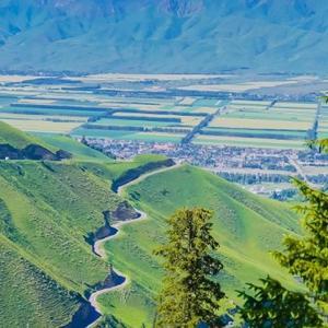 端庄晚风New 头像