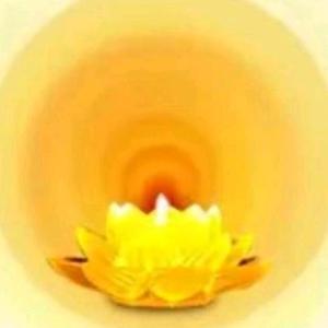 自在阿拉丁 头像