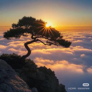 雾岛听山 头像