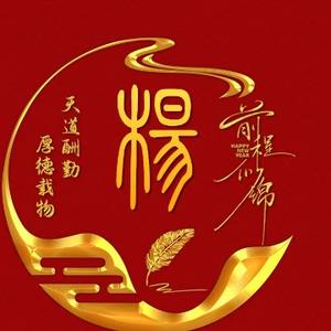 杨子0a7B