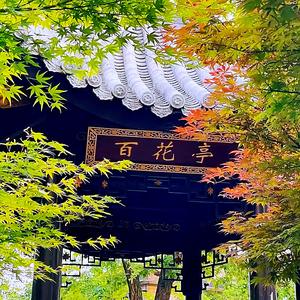 百花亭杂谈