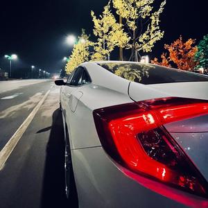 清闲的钢笔N 头像