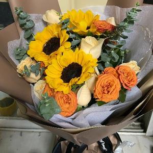 洒脱的豌豆 头像