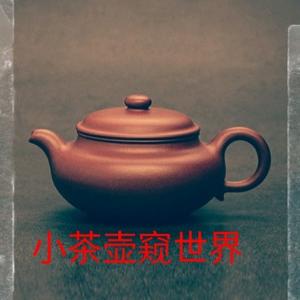 小茶壶观世界头像