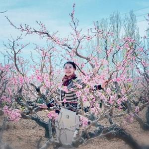 淡雅有芬芳