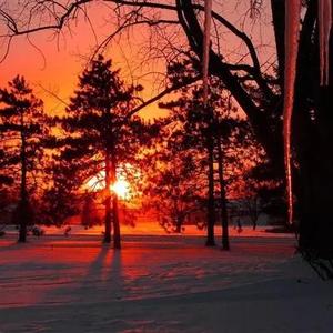 人间烟火楠 头像