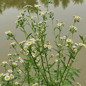 手工里精巧制作者 头像