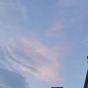 向阳葵summer 头像