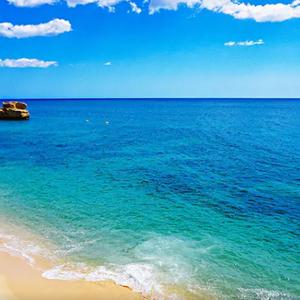 思念你的二师兄 头像