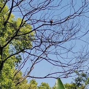 真滴是学爸 头像