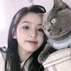 活泼花猫955 头像