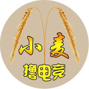小麦撸电竞 头像