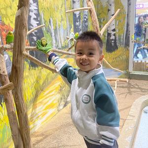 敏锐博乐8s4 头像