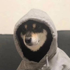 番茄3558480691342376 头像