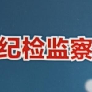 法制廉洁廉政文化 头像