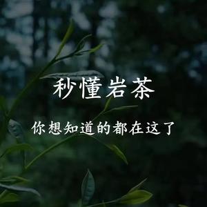 武夷岩茶头像