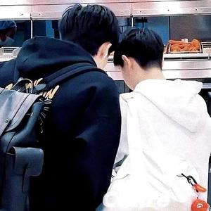 枇杷树上摘核桃 头像