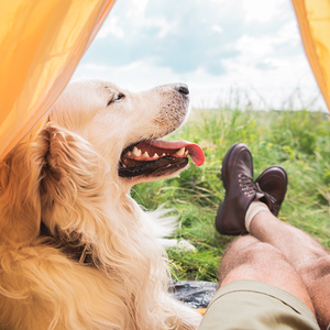 民间故事大哼 头像