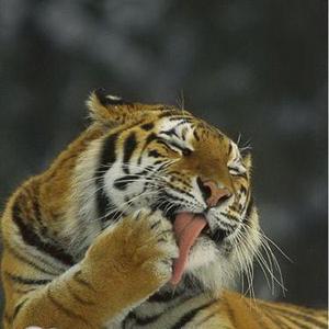 九八娱乐呀 头像