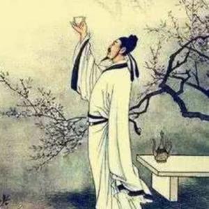 柳老师说头像