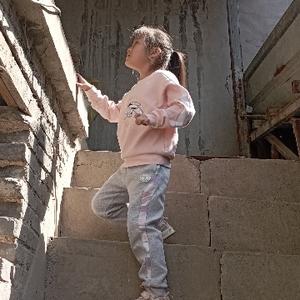 聪颖百灵鸟S 头像