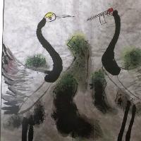 东君历史观 头像