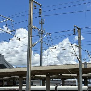 大气奶酪分享 头像