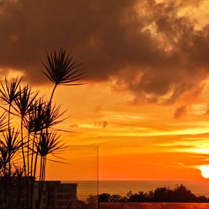 听弦的学习笔记 头像