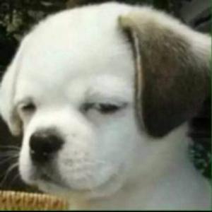 我在村里凑数的日子