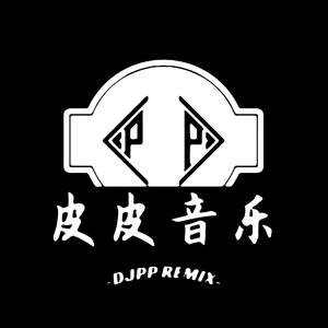 皮皮音乐Remix头像