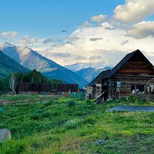 睡眠艺术家 头像