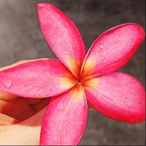 Doctor小小杨