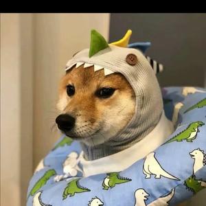 唐唐说娱 头像