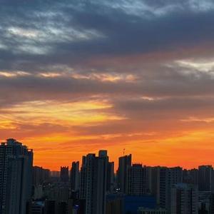 不爱八卦的小八卦 头像
