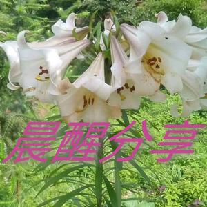 晨醒爱科普 头像