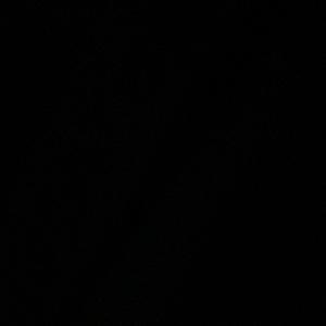 敢说真话的淡淡然 头像