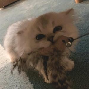 友爱溪水q 头像