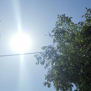 哈喽柠檬子 头像