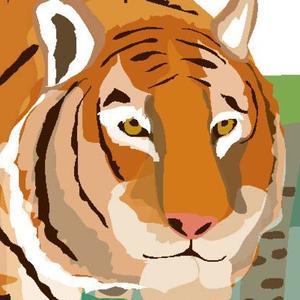 80后老书虫 头像