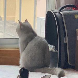 锻铁匠的游戏小屋 头像
