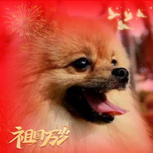 小犬蹦蹦头像