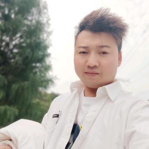 辉哥新能源 头像