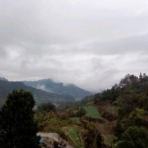 君Y海 头像