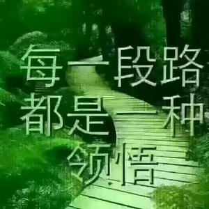 张熙东V头像