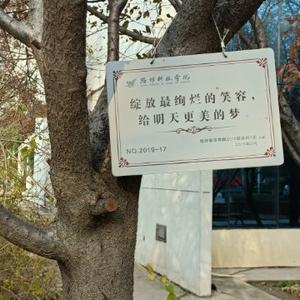 小岳聊故事 头像